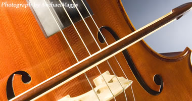 #image3 small portfolio3