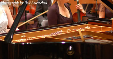 #image4 small portfolio4